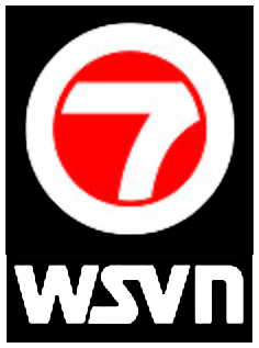 WSVN logo